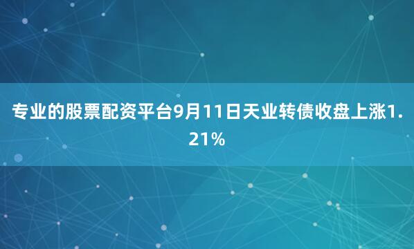专业的股票配资平台9月11日天业转债收盘上涨1.21%